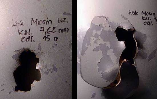 Mosin Helm