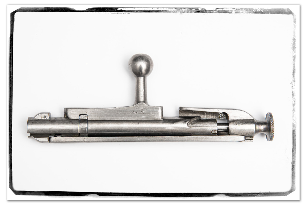 Mosin zamek 1